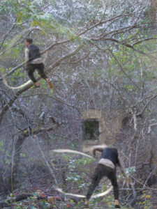 Men frolicking in a forest.