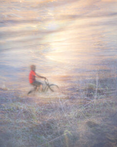 man riding bike ocean forest