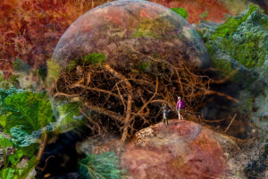 small figures of a boy and a man standing on an earth shape and near a large earth shape filled with roots.